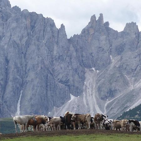 Appartamento Mariuccia Dosoledo Dış mekan fotoğraf